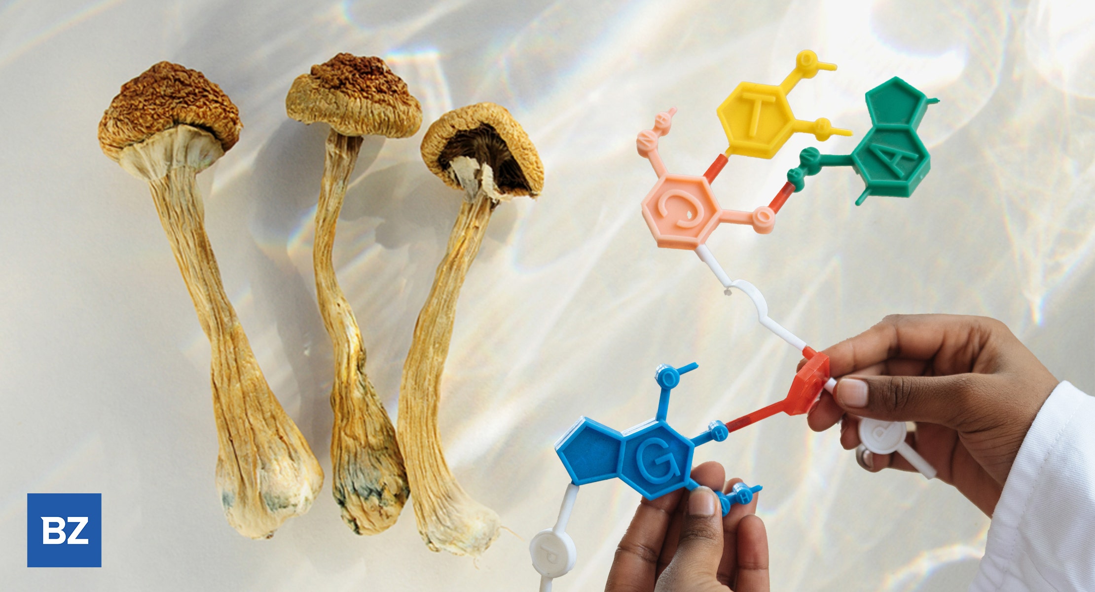 Canadian Psychedelics Company Launches Take-Home Psilocybin Trial For Some 300 Participants