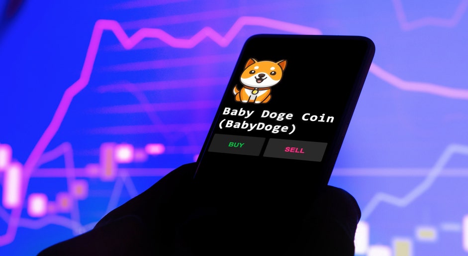 Elon Musk's Favorite Dogecoin 'Knockoff' Soars 17% Surpassing Shiba Inu Gains — Here's Why
