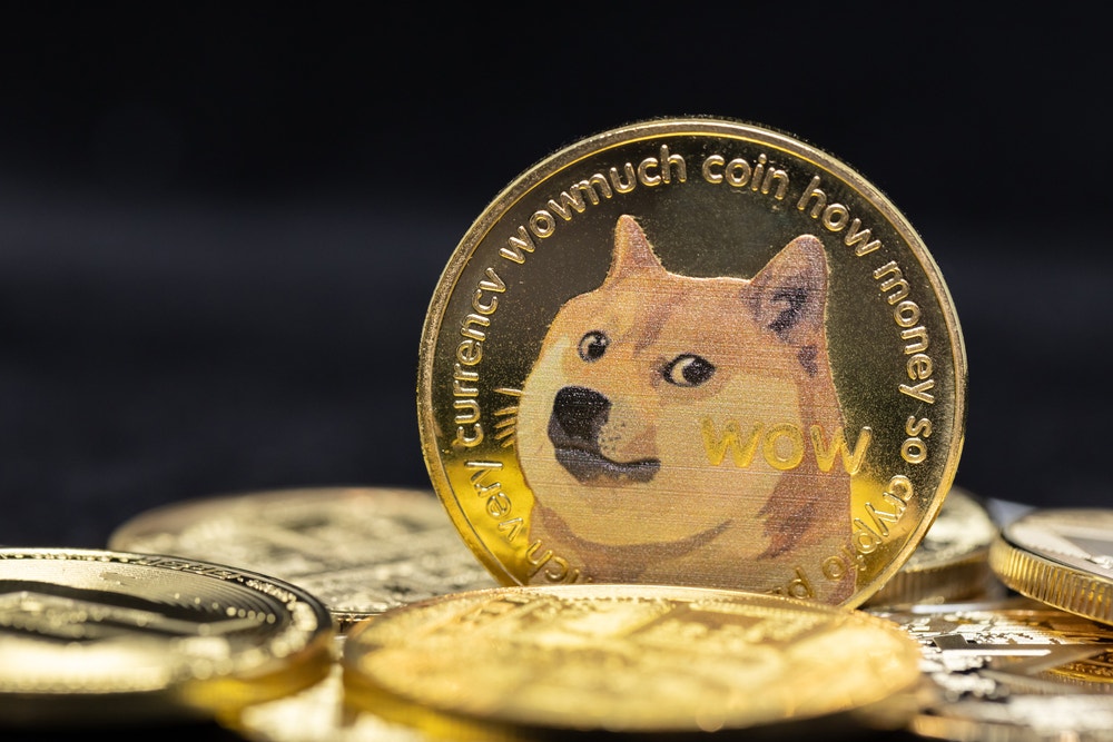 Meme Community Not Amused With Elon Musk As Twitter Shuts Down Dogecoin Tip Jar