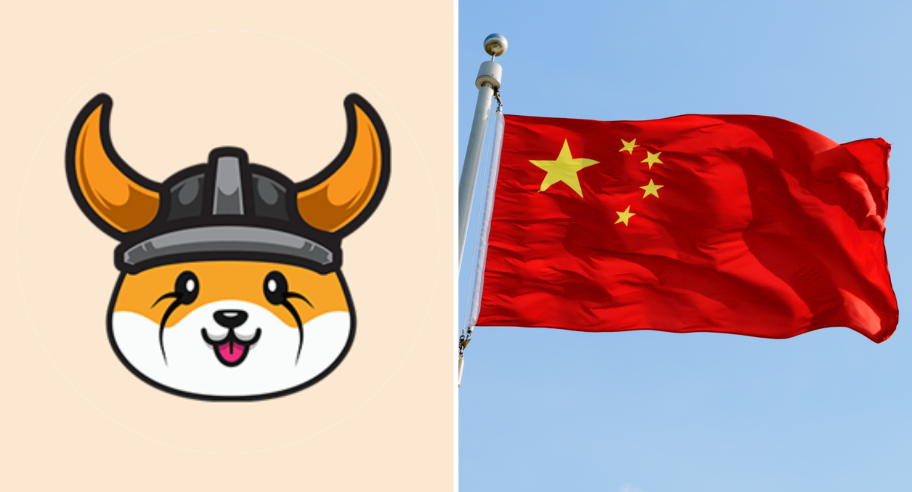 Will Floki's Launch In China Propel The Token's Price To New Heights?