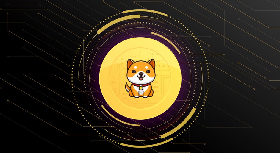 Elon Musk's Favorite Dogecoin 'Knockoff' Leaves Shiba Inu In Dust With 17% Gains Ahead Of Burn Portal