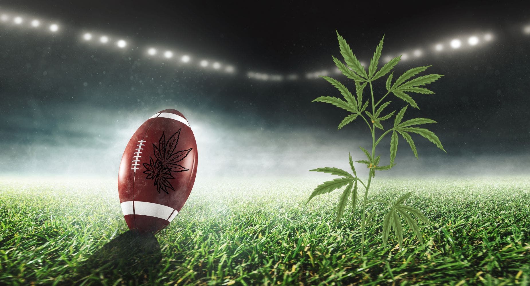 The Green Zone: A Deep Dive Into Super Bowl Sunday's Cannabis Sales And Trends
