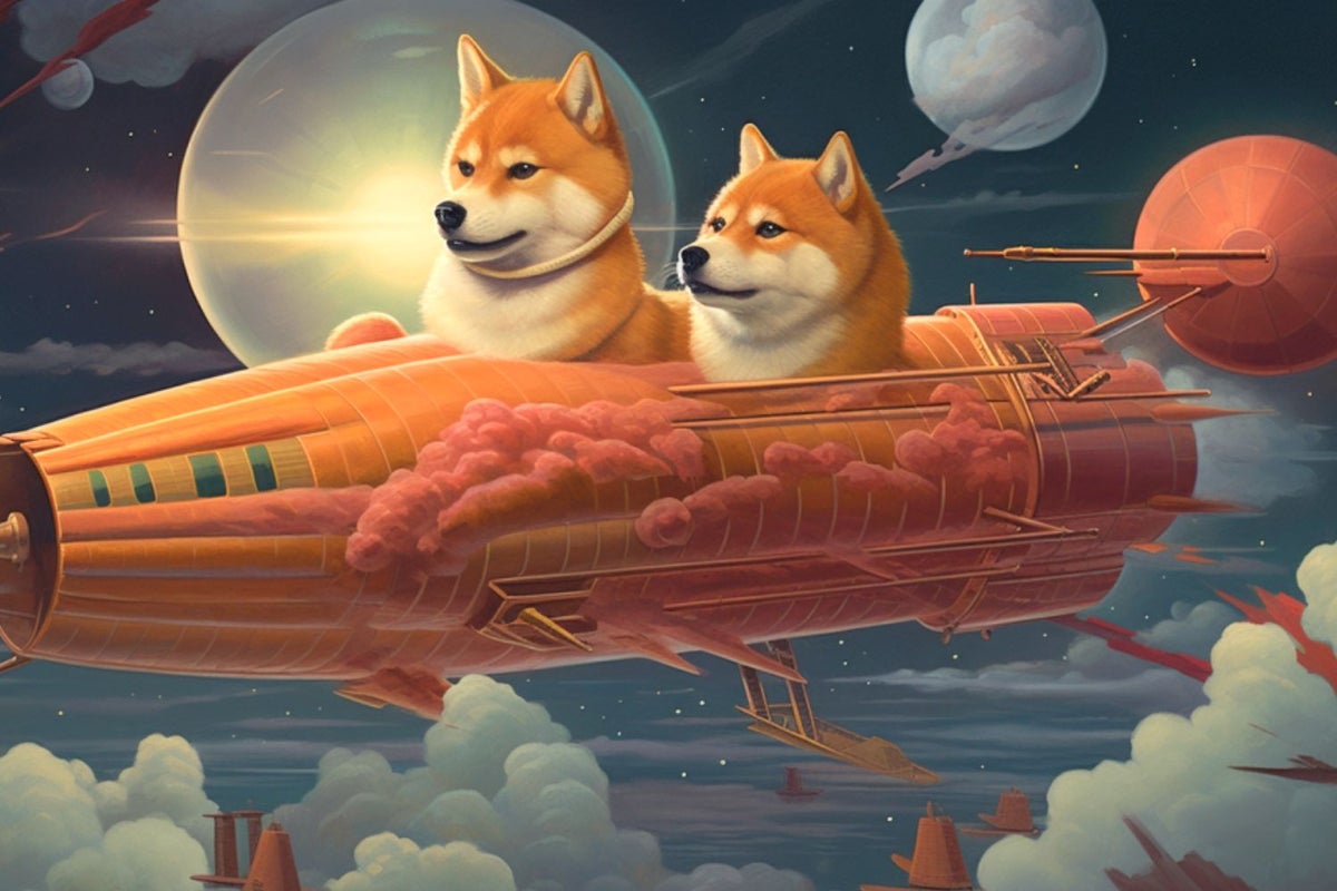 If you had 00 right now, would you buy Shiba Inu (SHIB) or Dogecoin? If you had 00 right now, would you buy Shiba Inu (SHIB) or Dogecoin?
