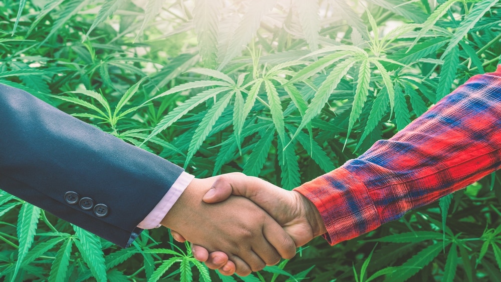 独家：大麻企业家呼吁业界团结起来，说出自己的想法并被倾听