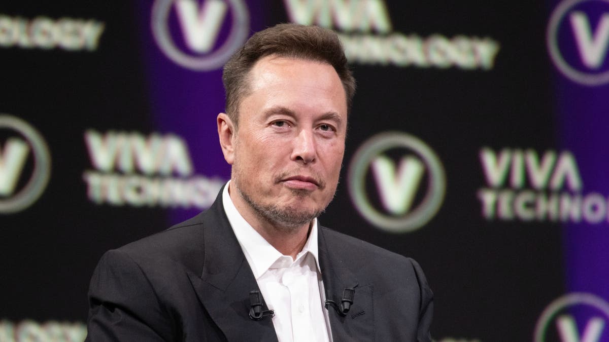 Elon Musk 'had no friends' growing up and learned to socialize by reading, biographer says