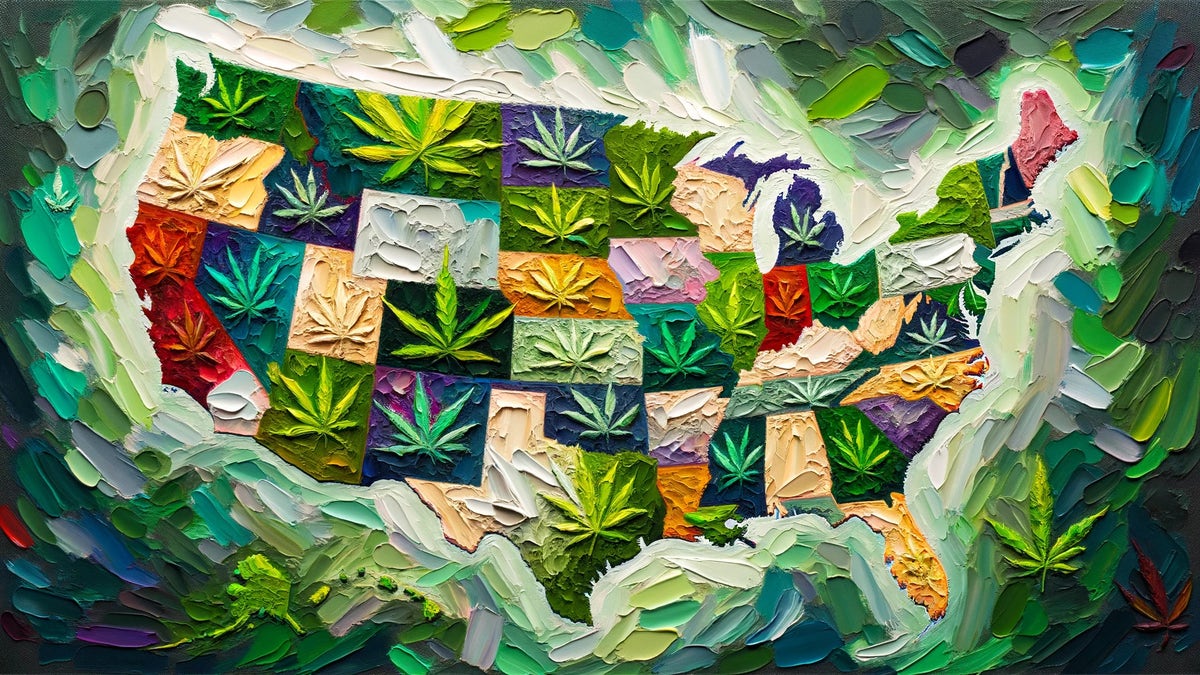 从纽约到内华达州：大麻政策在全国范围内通过