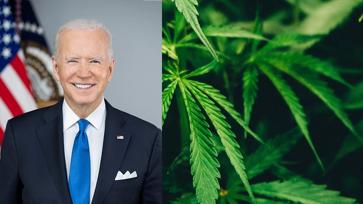 Biden should smoke weed, says Democratic challenger Dean Phillips, to understand the hypocrisy of prohibition