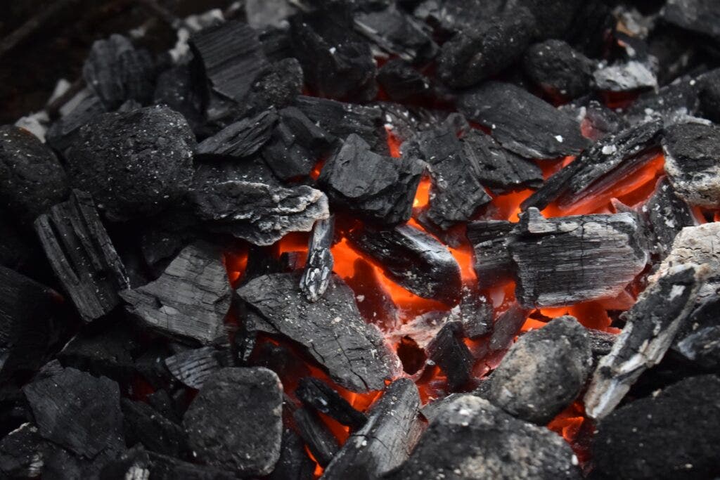 Why Coal India Shares Are Slumping After Q4 Earnings