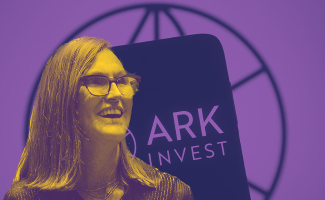 Cathie Wood's Ark Invest Scoops Up Over $4M Worth Of Palantir, Meta ...