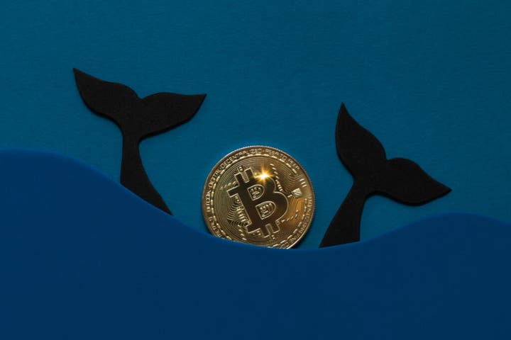 Bitcoin, Ethereum, Dogecoin Price And Sentiment Up, As Banks Disclose BTC Holdings: A 'GME Moment' Coming For Bitcoin Soon, Analyst Predicts