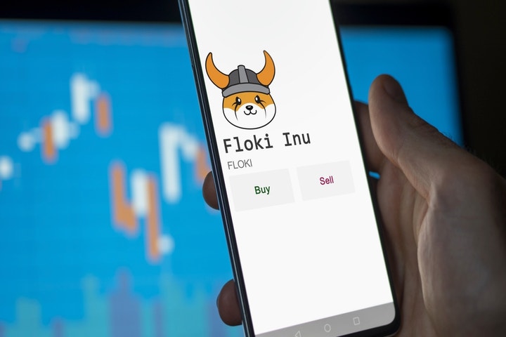 Floki Becomes Hottest Memecoin With 17% Gains — Pips Dogecoin, Shiba Inu In Trading Volumes