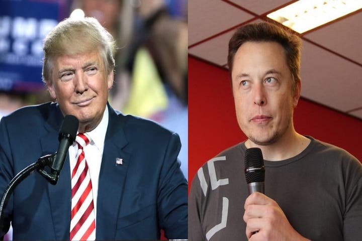 Elon Musk Makes Crypto Reference Ahead of Livestream With Donald Trump