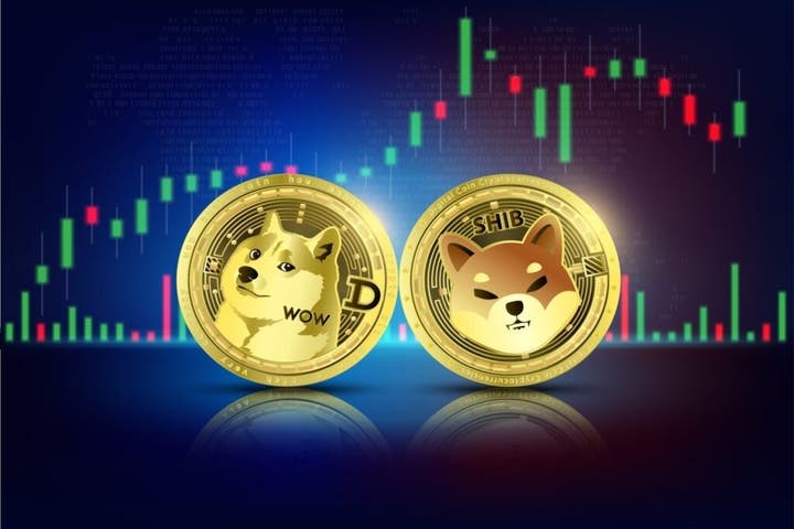 Dogecoin, Shiba Inu, Floki Are 'Dino Coins,' Says Trader: He Likes These 3 Other Meme Coins As 'Blue Chips'