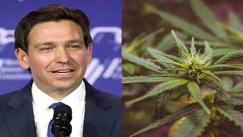 DeSantis says cannabis legalization amendment will protect weed rights better than 1st and 2nd Amendments protect free speech and gun rights