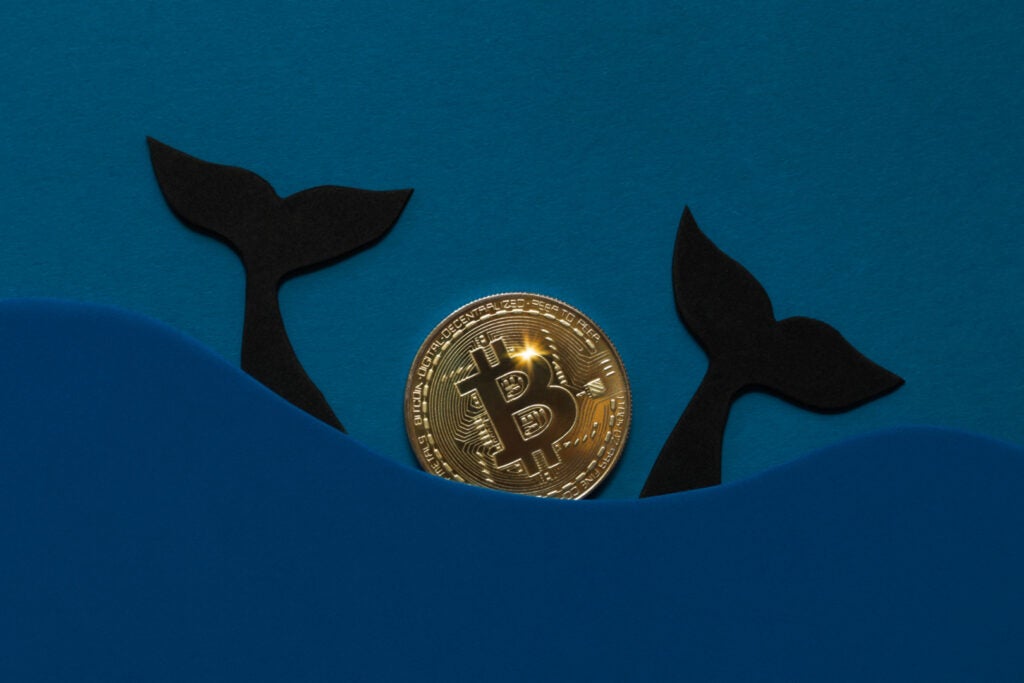 Bitcoin ETFs Are 'Not An Adoption Vehicle' With Holders On $2B Unrealized Losses, Analyst Says