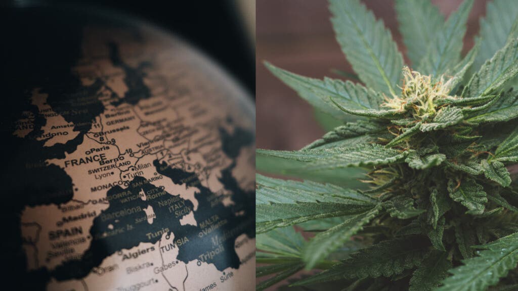 Euro Weed: German medical marijuana associations seek easier access, Ukraine taxes hemp and more