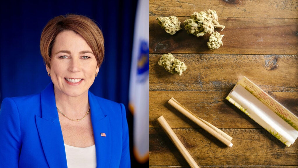 'Blanket' Marijuana Pardons Coming To Massachusetts As Gov. Healey ...