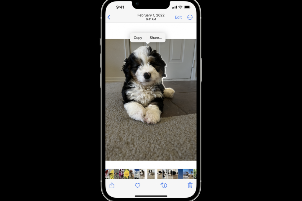 iOS 17 Provides Step-by-Step Guide for Converting Photos into Printable Stickers - Benzinga (Picture 1)