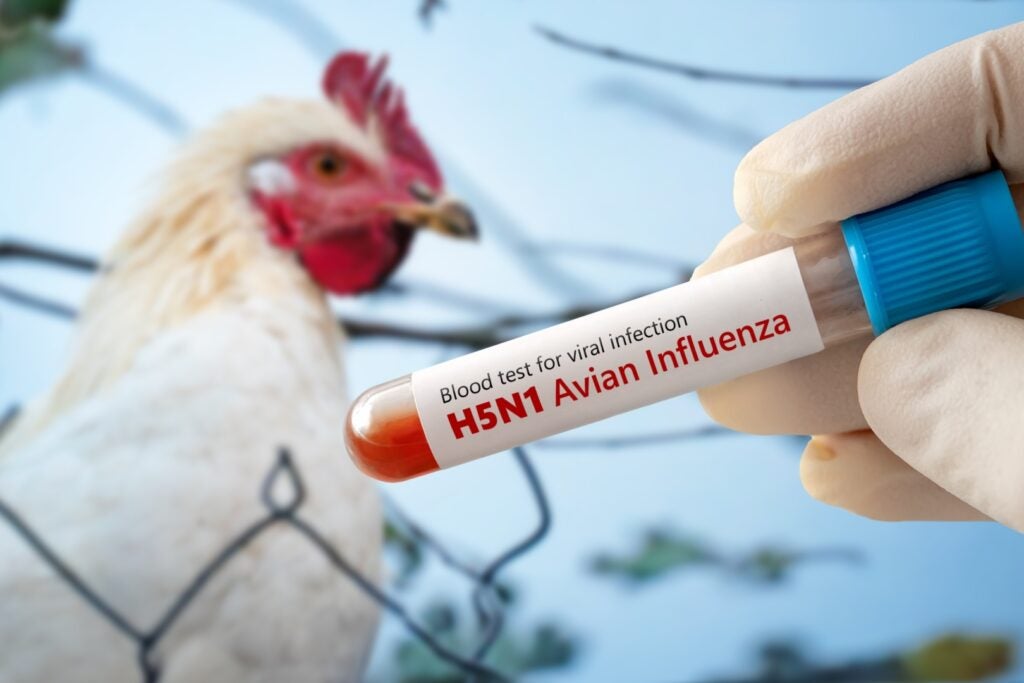 2 News Article Image US Records First Human Bird Flu Death, High Levels Of Respiratory Illnesses: Vaccine Stocks Rally - Novavax  ( NASDAQ:NVAX ) 