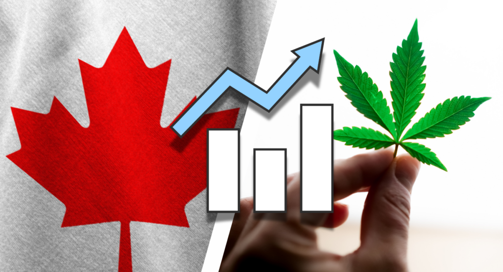 1 News Article Image Por qué las acciones de Aurora Cannabis se están disparando el miércoles: ¿Qué pasa con Canopy, Tilray, Cronos? - Aurora Cannabis