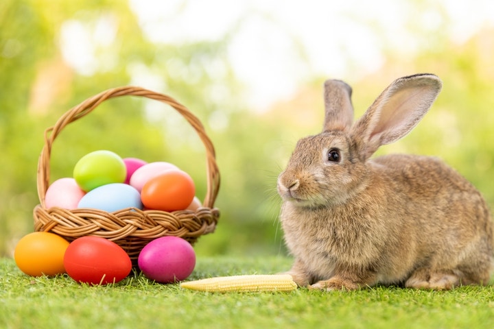 featured-image