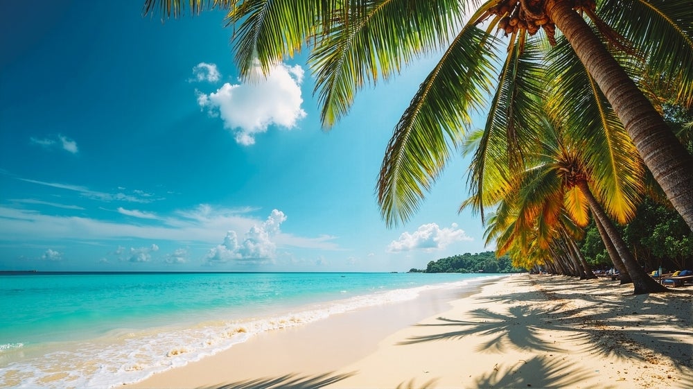 American Attorney Working Remotely From Thailand Making $60K/Month in Dividends Shares Stock Portfolio – 'Most of All I Love' Working From Beach
