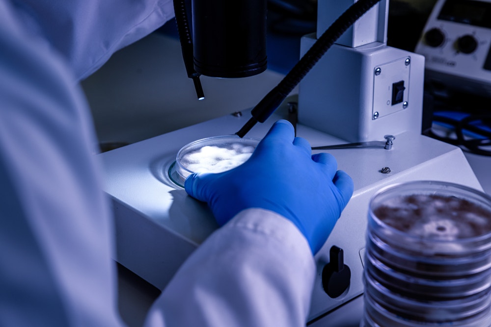Feature Image for interests on Biotech, Briefs, Cannabis, Healthcare from benzinga.com