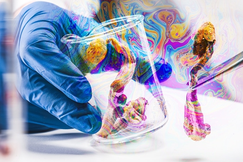 Feature Image for interests on Briefs, Cannabis, Consumer Defensive, News from benzinga.com