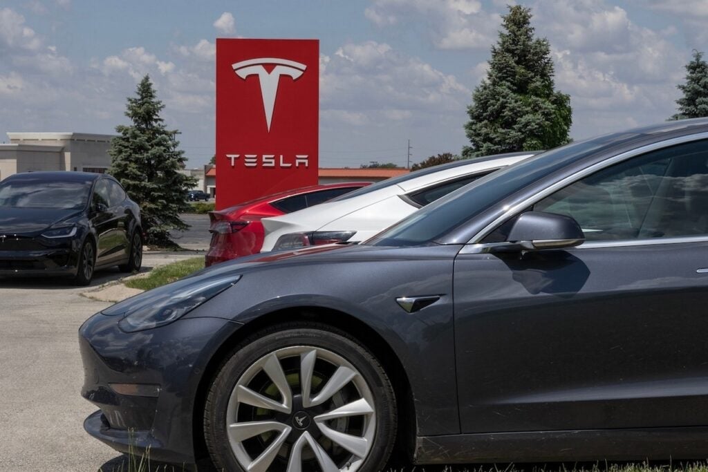 Tom Lee Says Tesla's Magic Isn't About Government Subsidies: 'It's A Granny Shot' Powered By Elon Musk, AI And Massive Data