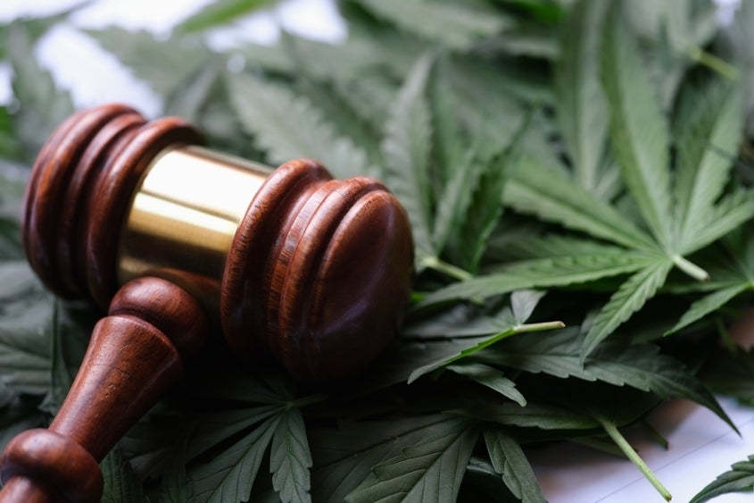 Cannabis ETFs Light Up As Trump Eyes Marijuana Reclassification