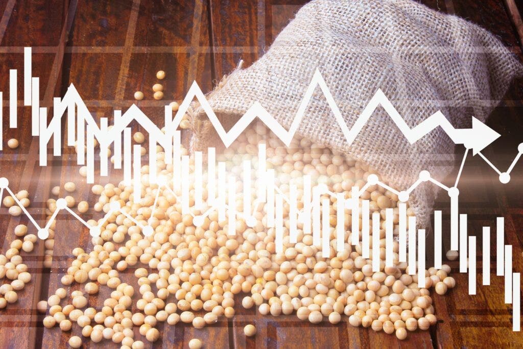 Feature Image for interests on Brazil, China, Commodities, Economics from benzinga.com