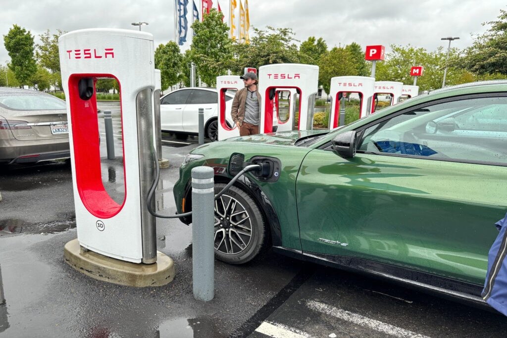 Tesla Launches Ad Blitz Across Facebook, Instagram, Google And X Urging Shareholders To Back Elon Musk's Massive Pay Package And Board Proposals - Tesla (NASDAQ:TSLA)