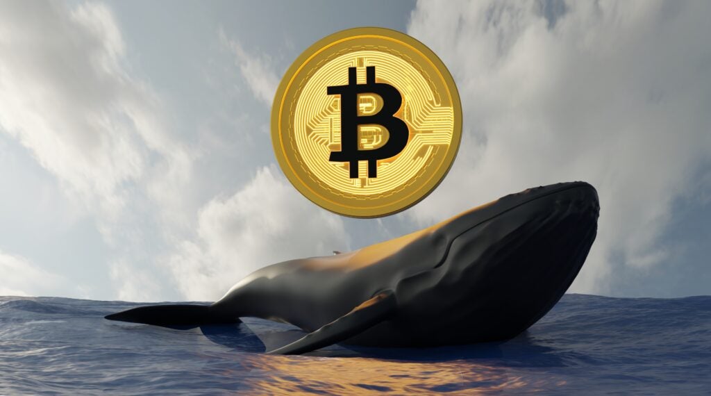 2 News Article Image How This Bitcoin, Ethereum Whale Made $14M With A 100% Hit Rate