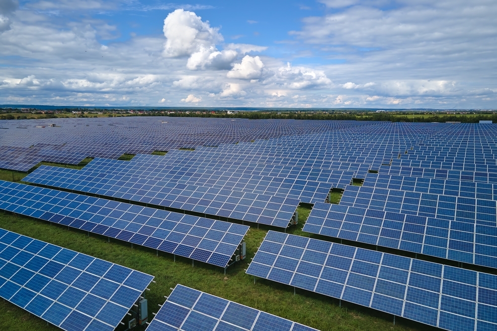 Trump's 'Big Beautiful Bill' Just Bankrupted Pine Gate — As Solar Energy Dominoes Are Starting To Fall