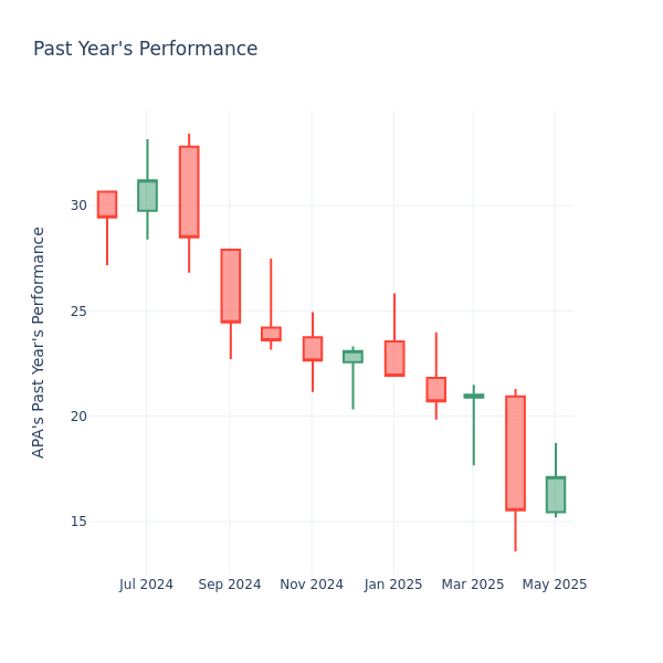 Past Year Chart