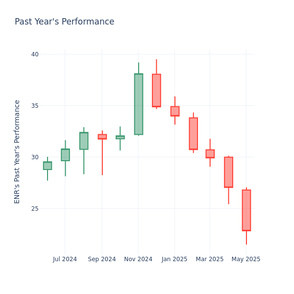 Past Year Chart