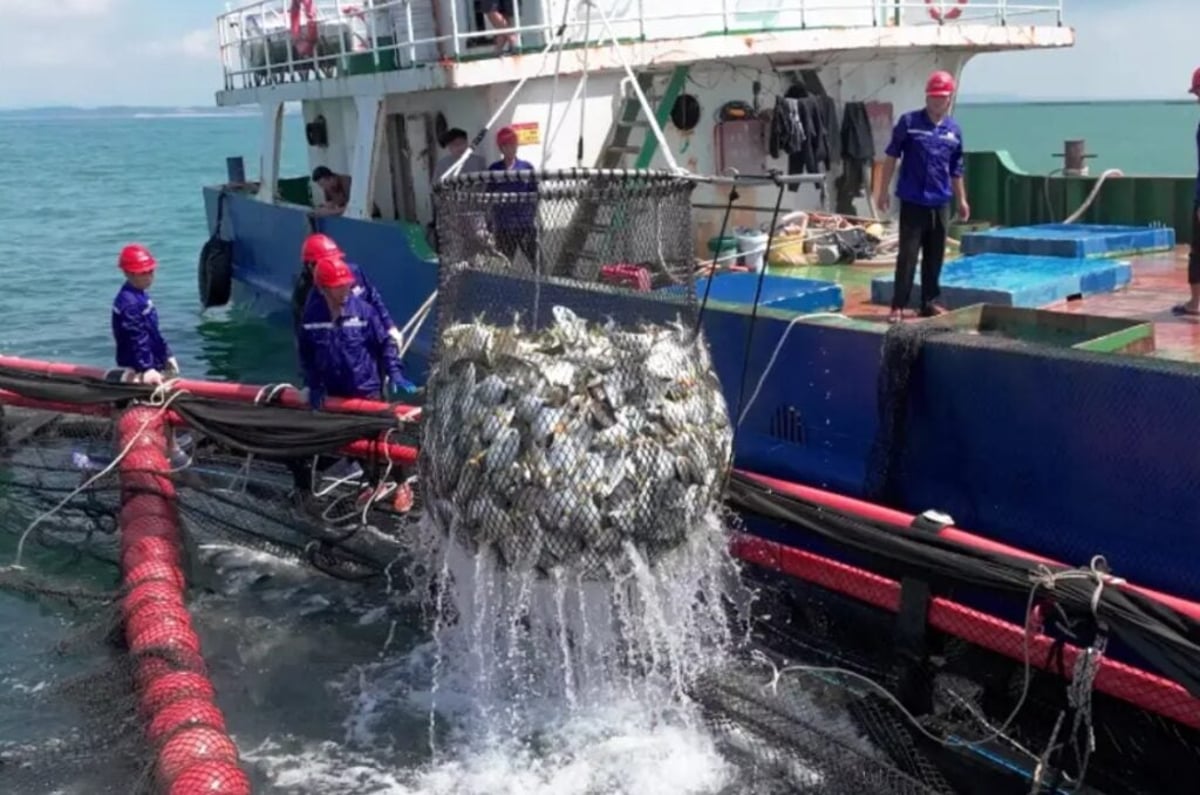 Haid Files For Hong Kong IPO Amid Growing Demand For Animal Protein