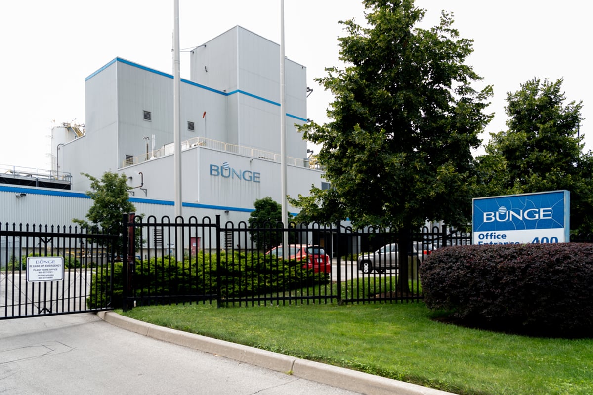 Why Is Bunge Stock Falling Wednesday? - Bunge Global (NYSE:BG)