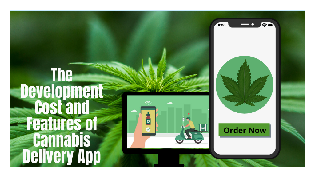 The Development Cost and Features of Cannabis Delivery Web Application