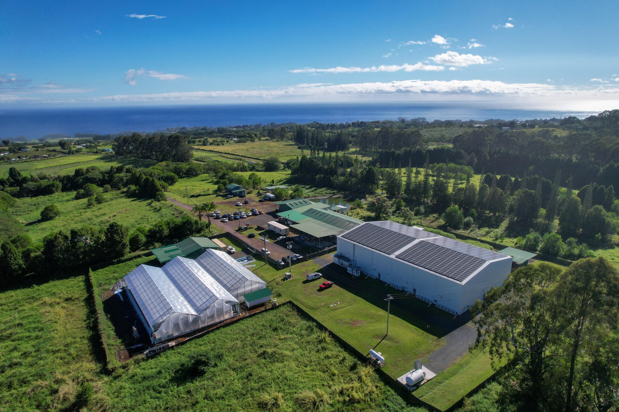big_island_grown_facility_aerials.jpg