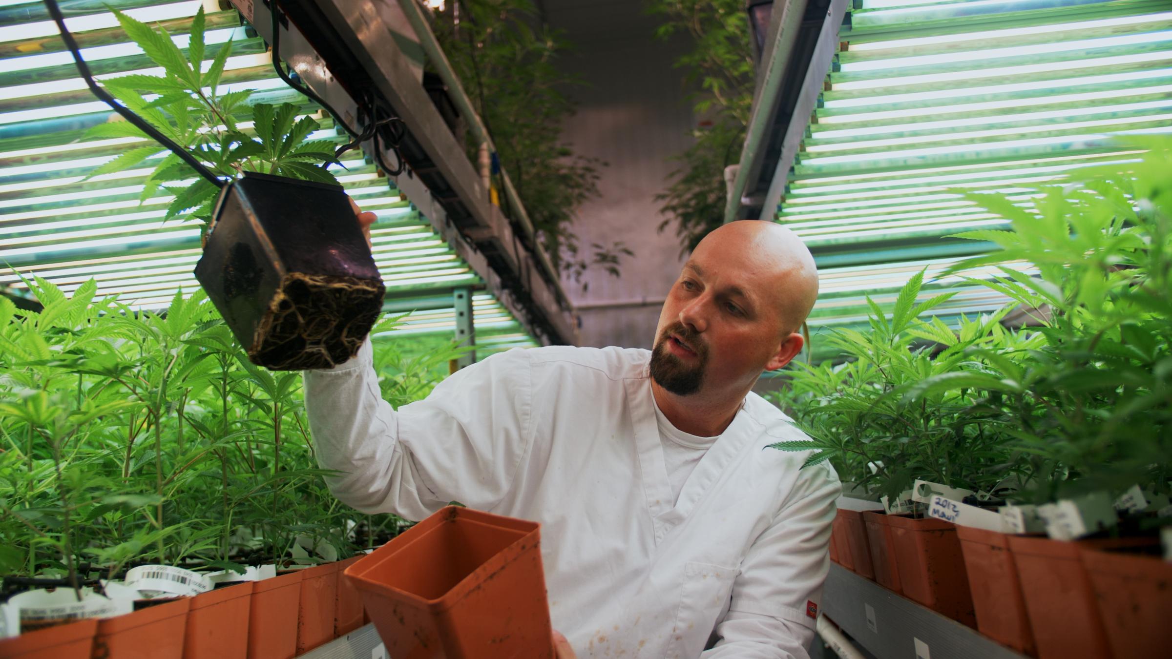 dylan_shropshire_coo_in_big_island_grown_clone_room.jpg